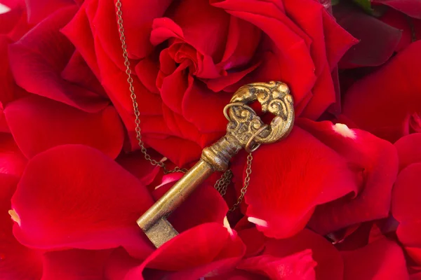 Key with the heart as a symbol of love — Stock Photo, Image