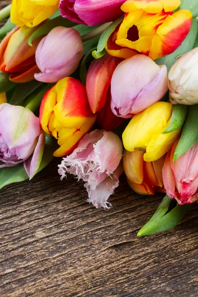 Куча разноцветных тюльпанов — стоковое фото
