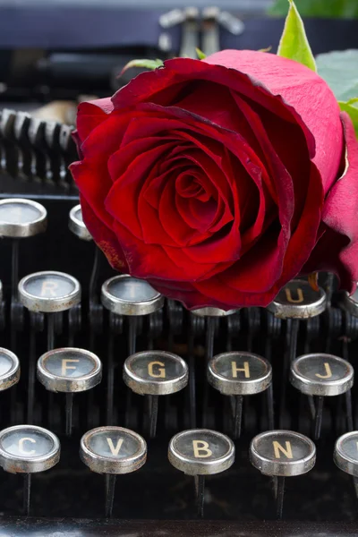 Rosa roja en la máquina de escribir —  Fotos de Stock