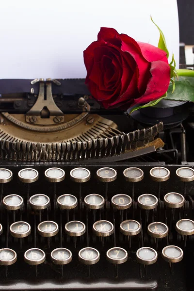 Rosa roja en la máquina de escribir —  Fotos de Stock