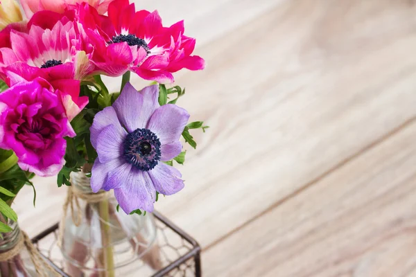 Flores de anêmona — Fotografia de Stock