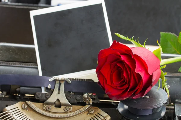 タイプライターに赤いバラ — ストック写真