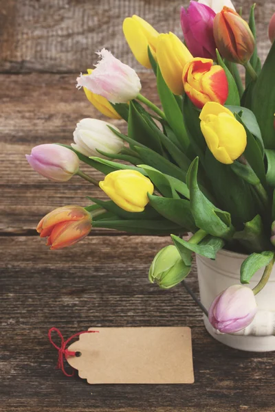 Kupie tulipany wielobarwny — Zdjęcie stockowe