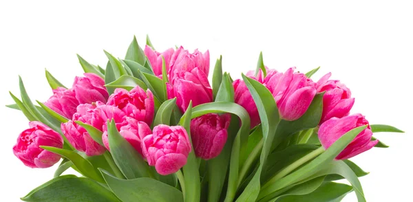 Bouquet of multicolored   tulip flowers in white pot — Stock Photo, Image