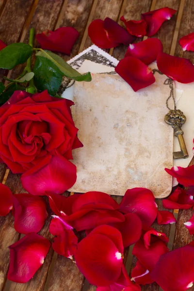 Vintage background with rose petals  and key — Stock Photo, Image