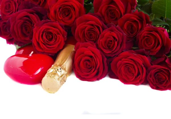 Valentines day  dark red  roses — Stock Photo, Image