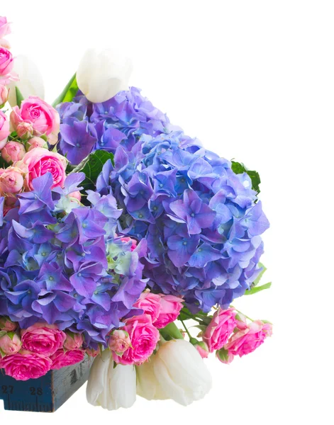 White tulips, pink roses and blue hortensia flowers — Stock Photo, Image