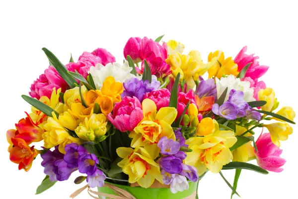 Freesia e narcisi fiori — Foto Stock