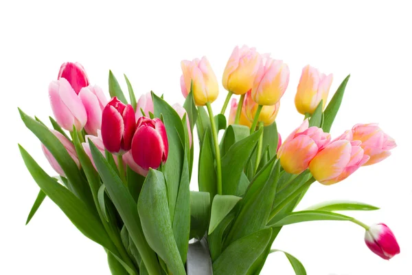 Bouquet di fiori di tulipano in vaso — Foto Stock