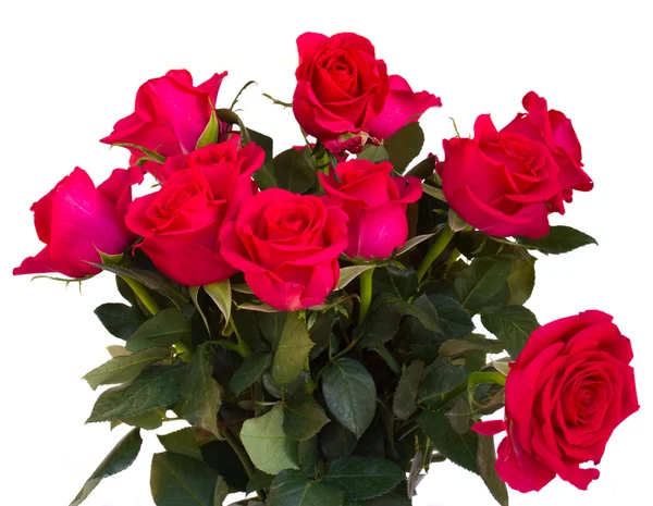 Bouquet of dark  pink roses close up — Stock Photo, Image