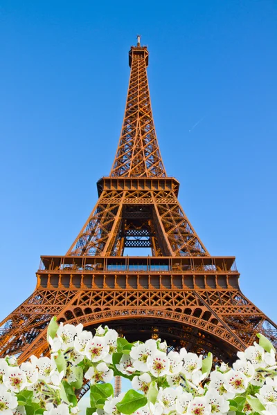 Torre Eiffel, França — Fotografia de Stock