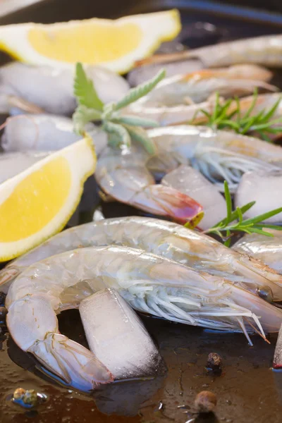 Raw prawns — Stock Photo, Image