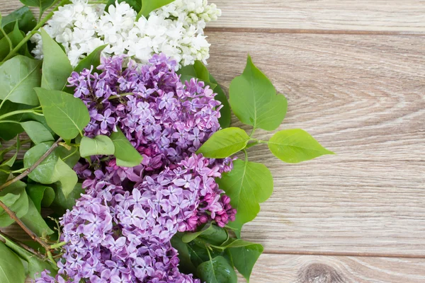 Flieder in der Vase — Stockfoto