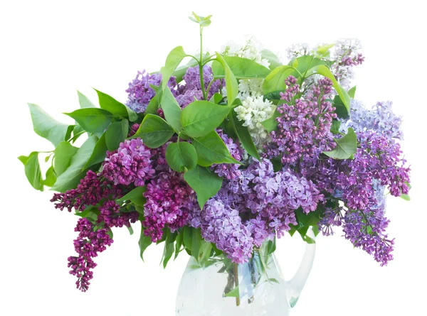 Lilac in vase Stock Photo