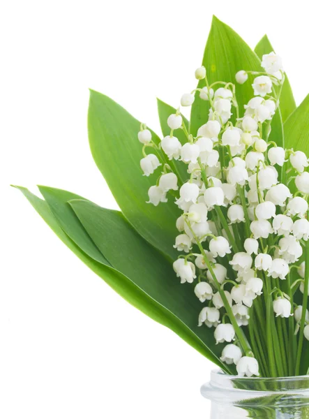 Lilly of the valley posy — Stock Photo, Image