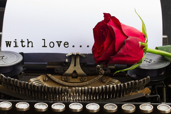 red rose on typewriter