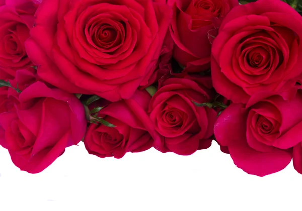 Bouquet of dark  pink roses close up — Stock Photo, Image