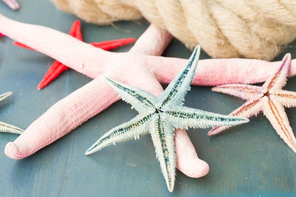 Marine rope with starfish — Stock Photo, Image