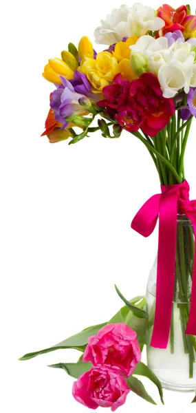 Freesia y flores de narciso —  Fotos de Stock