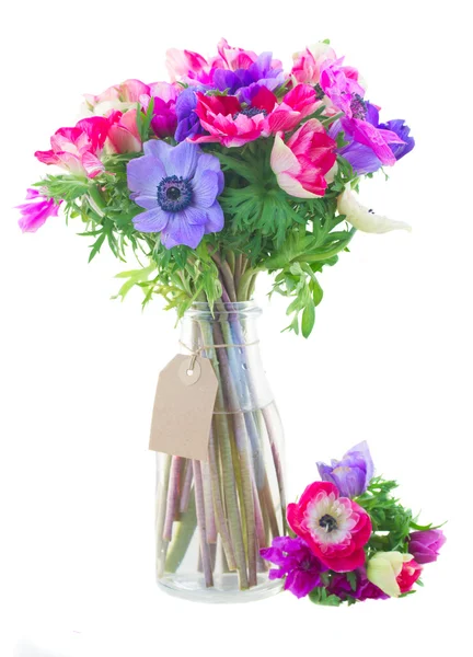 Bouquet  of anemone flowers — Stock Photo, Image