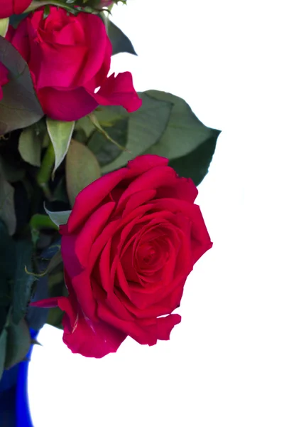 Strauß dunkelrosa Rosen aus nächster Nähe — Stockfoto