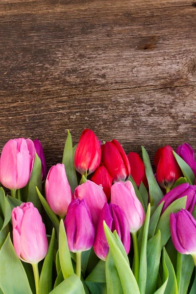 Bouquet di fiori di tulipano rosso e viola — Foto Stock