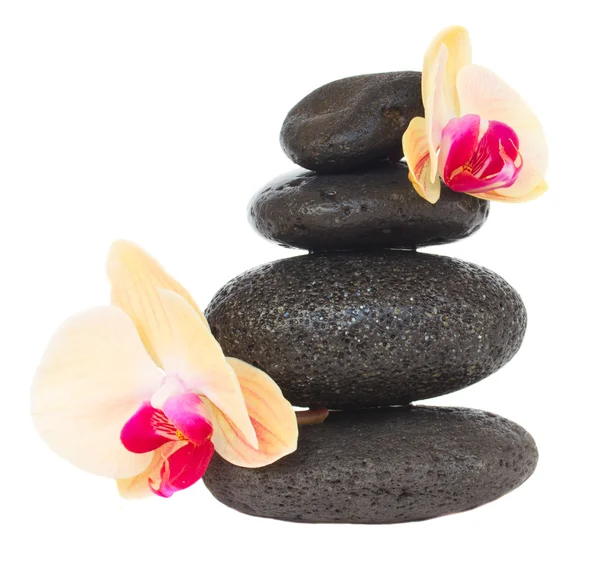 Massage stones with aloe vera — Stock Photo, Image