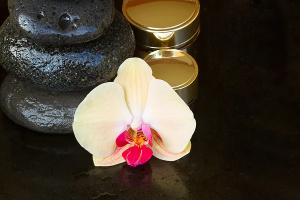 Leczenie uzdrowiskowe orchidea — Zdjęcie stockowe