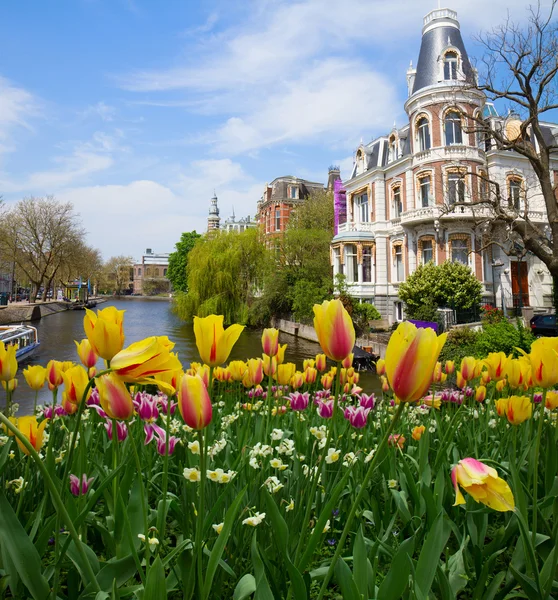 Amsterdam 'daki kanallardan biri. — Stok fotoğraf