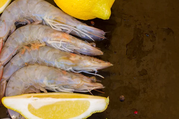 Border of raw prawns — Stock Photo, Image