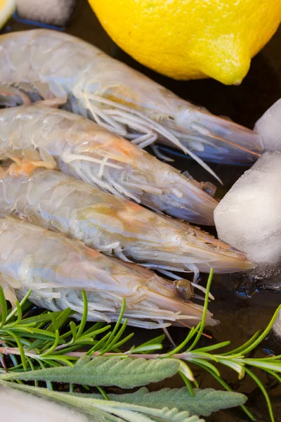 Row of raw prawns — Stock Photo, Image