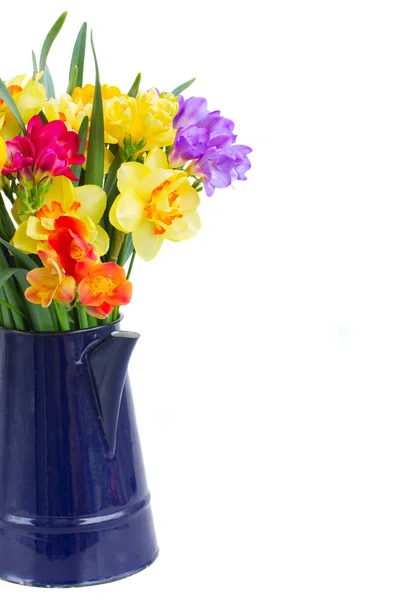 Freesia and daffodil  flowers — Stock Photo, Image