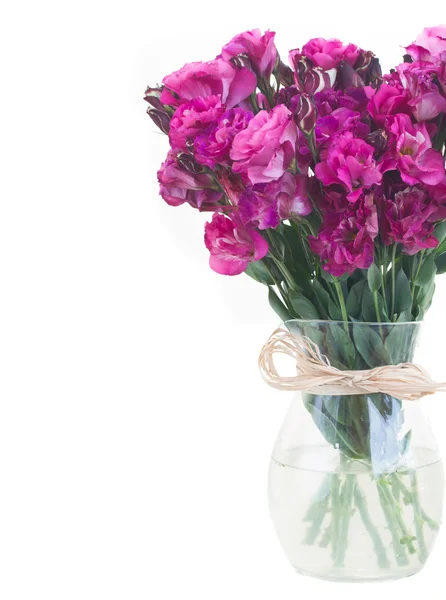 Grono eustoma fioletowe kwiaty — Zdjęcie stockowe