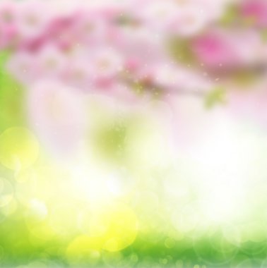 yeşil yaprakları bokeh arka plan