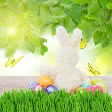 easter bunny yumurta avla