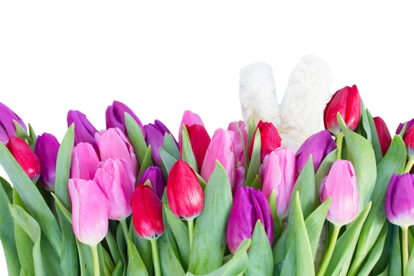 Ramo de flores de tulipán rojo y púrpura — Foto de Stock