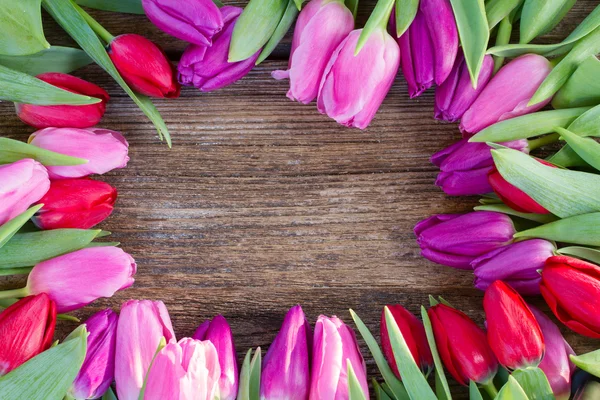 Bukett av röda och lila tulpan blommor — Stockfoto