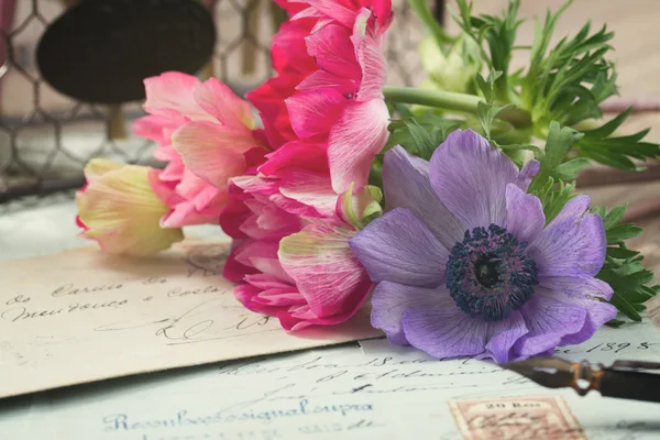 Quill pen en antieke letters met anemone bloemen — Stockfoto