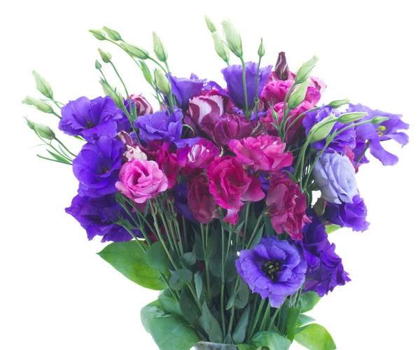 Bouquet de fleurs d'eustomes violettes — Photo