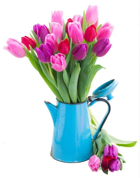 Boeket van rode en paarse tulp bloemen — Stockfoto