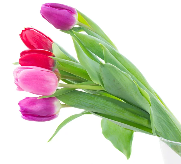 Strauß roter und lila Tulpenblumen — Stockfoto