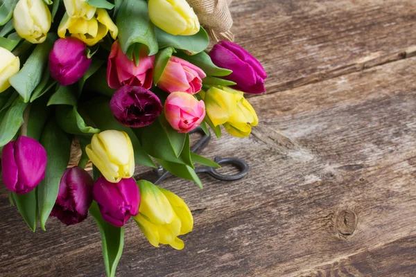 Kytice žlutých a fialových tulipánů — Stock fotografie