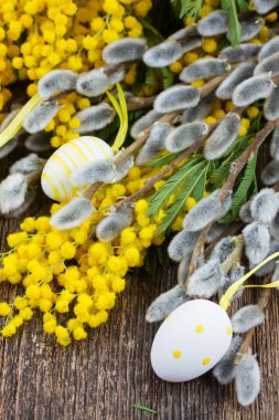 Fransız mimozası ve paskalya yumurtalı catkins.