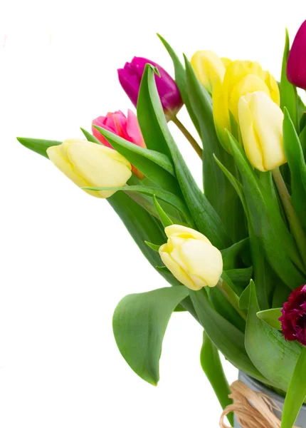 Buquê de flores de tulipa amarelas e roxas — Fotografia de Stock