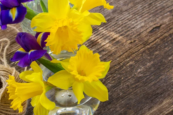 Narciso de Pascua — Foto de Stock