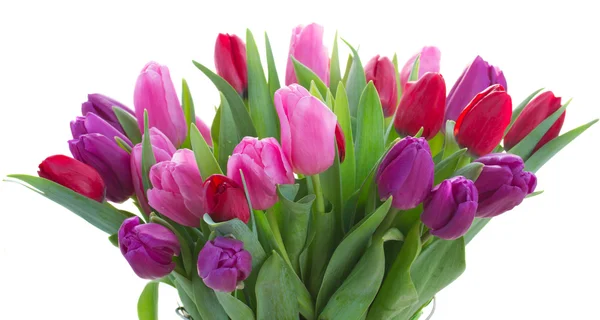 Bouquet de fleurs de tulipes rouges et violettes — Photo