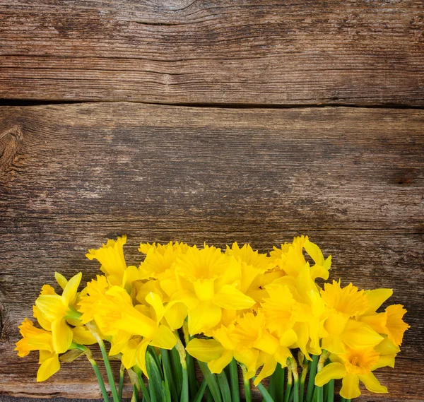 Nergis ahşap arka plan üzerinde