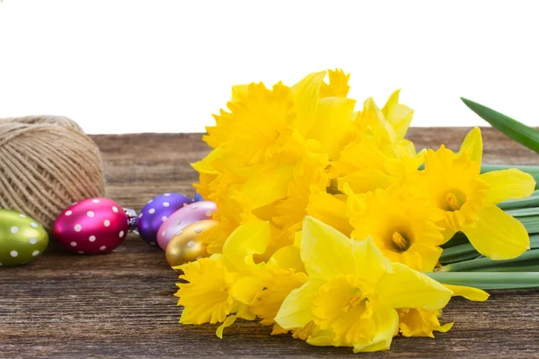 Spring narcissus — Stock Photo, Image