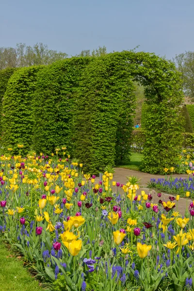 Jardin de Keukenhof au soleil, Pays-Bas — Photo