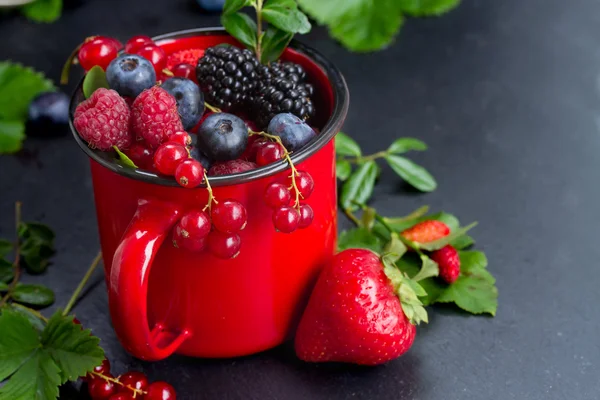 Set of  fresh berries — Stock Photo, Image